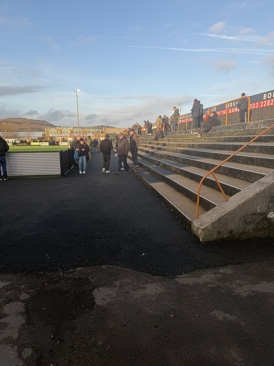 Shepps 🐝 tweet media