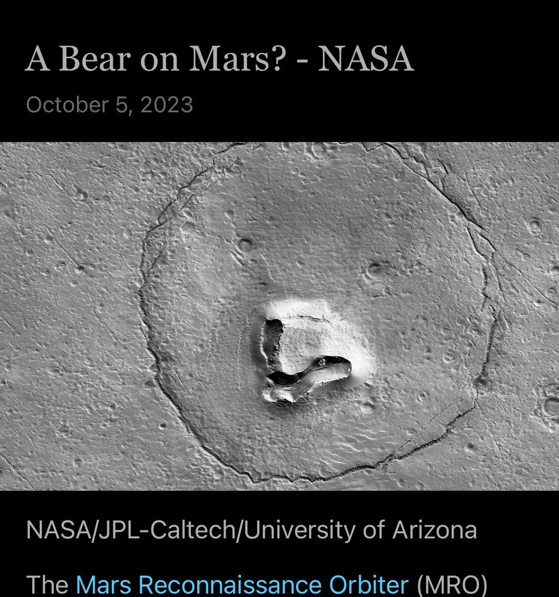 Digital Vision tweet media