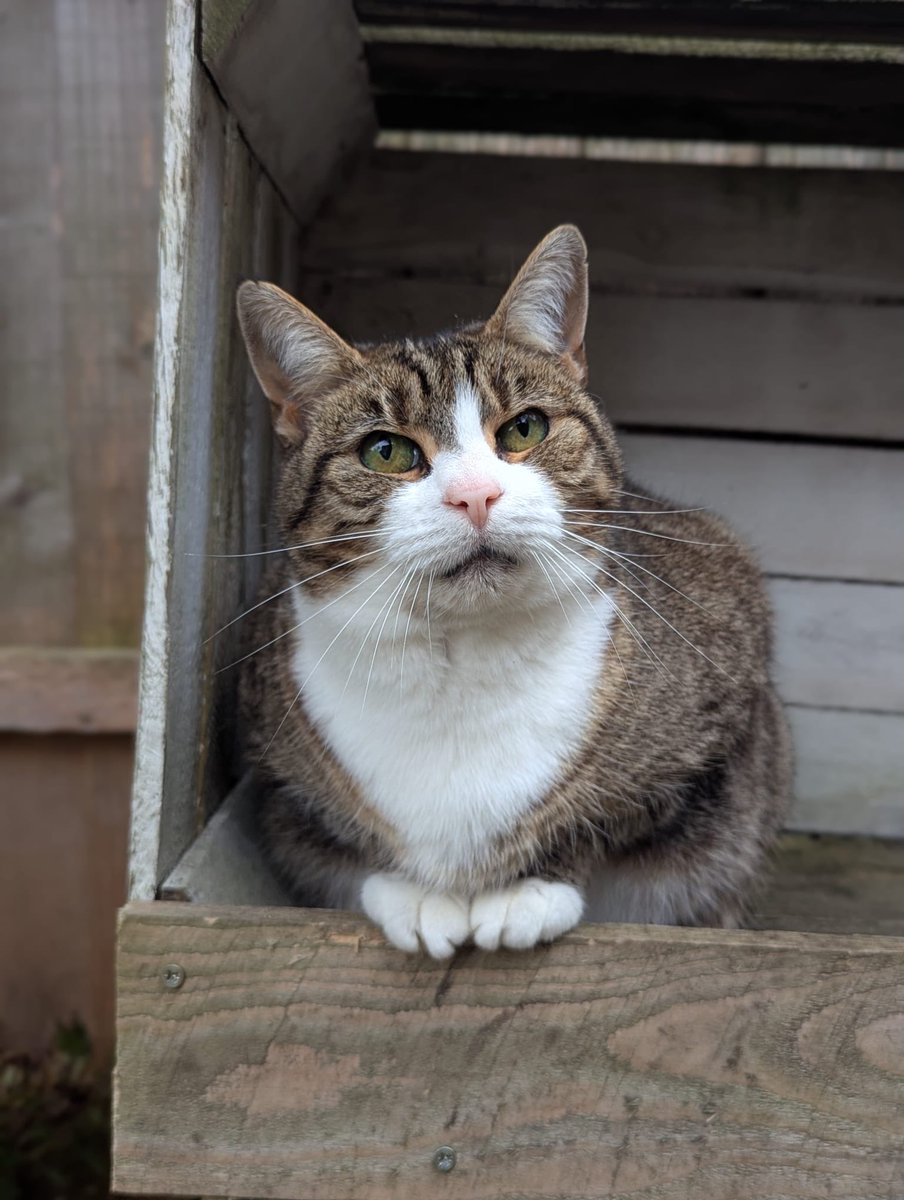 Lou_Wi's tweet photo. @SusanCalman Margot fact- named after Margot leadbetter from the good life! https://t.co/F7rPFRbywV