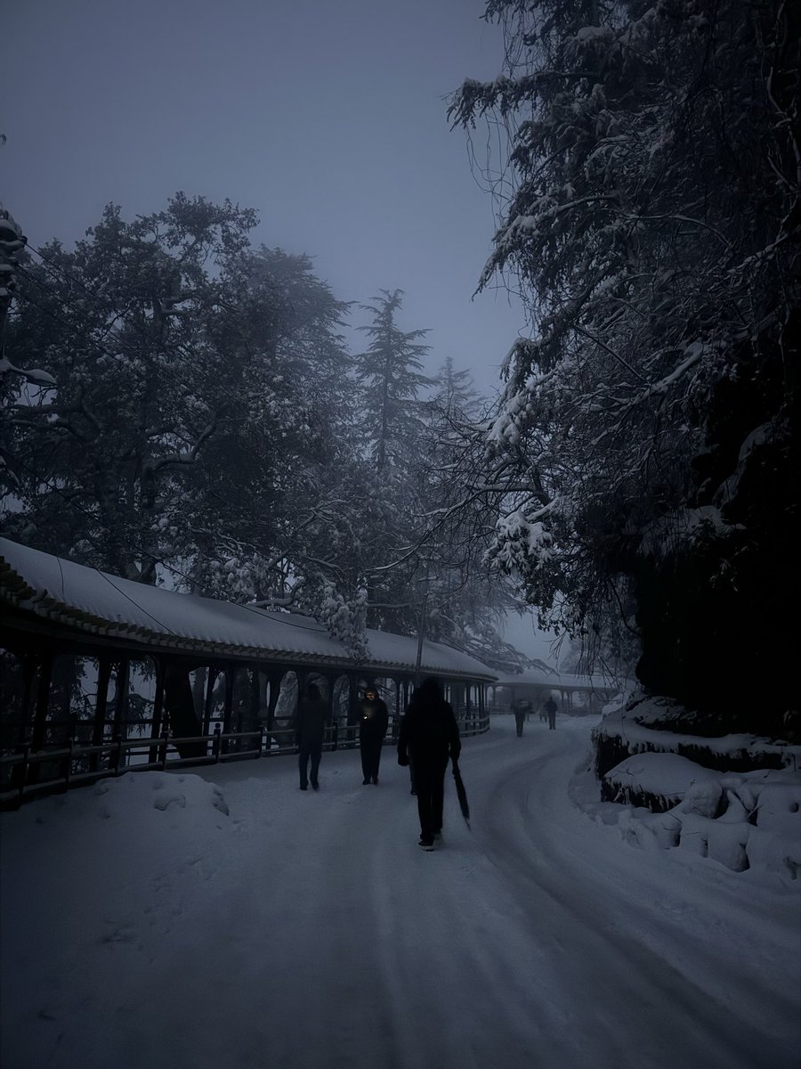 tanikshadeolia's tweet photo. and it SNOWED https://t.co/dThdiwsCXV