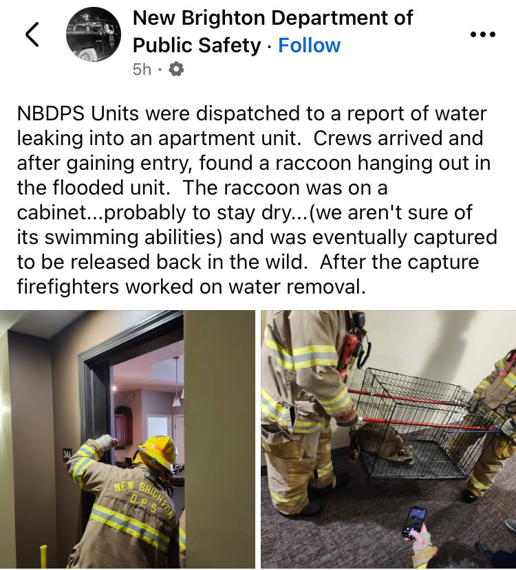 BSNGorg's tweet photo. @FriedgeHNIC We’re dealing with enough in Minnesota right now so can you please tell your people not to flood our apartments? https://t.co/GimfMp5swl