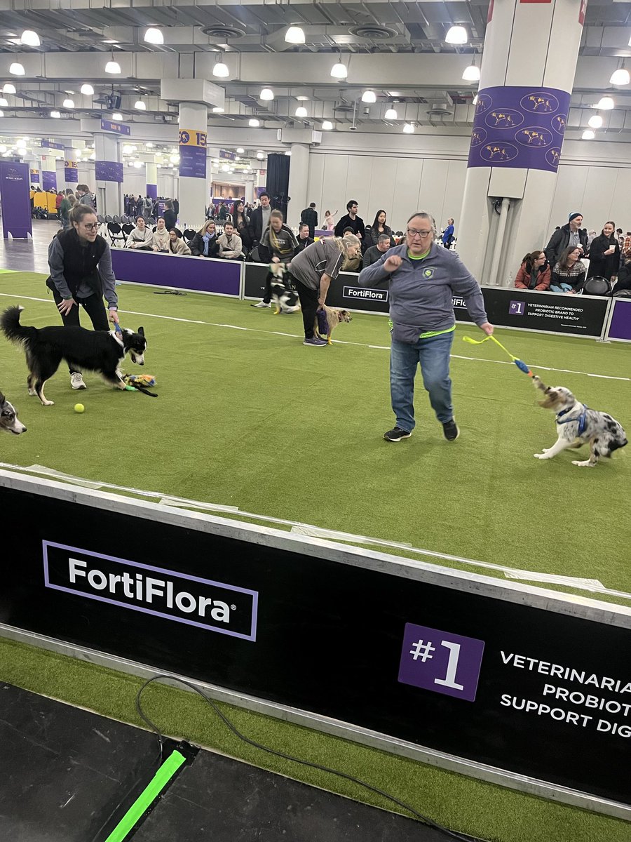 Emily Stewart tweet media