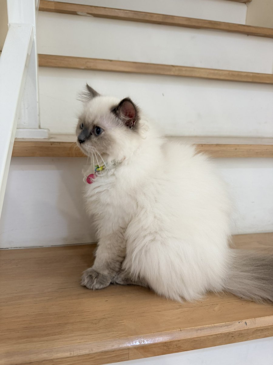 ไม่อยากชื่อพลอย tweet media