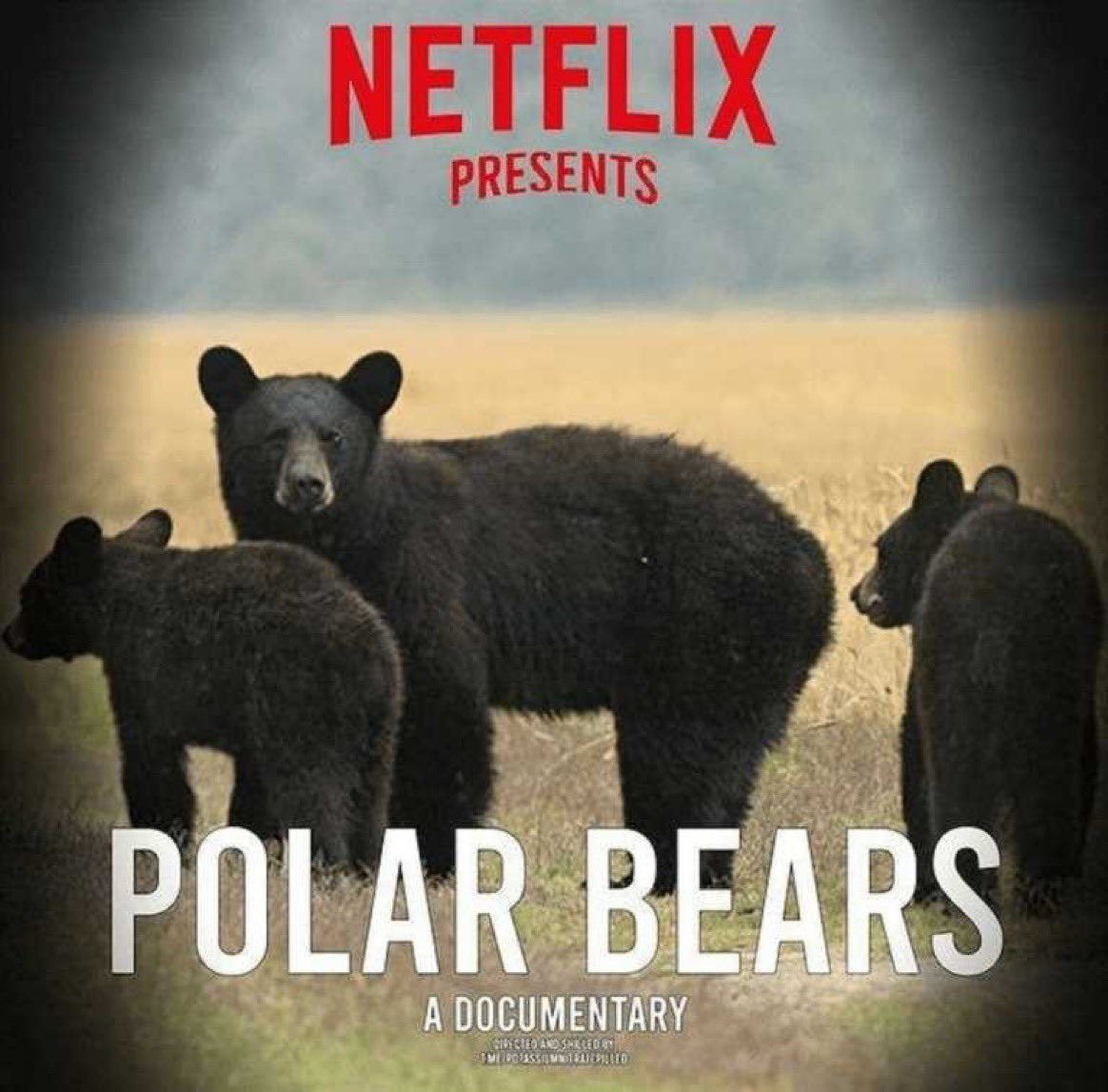 <a href="/nonregemesse/">🏛 𝐒𝐭𝐞𝐯𝐞𝐧 🏛</a> Bruh 🤦‍♂️