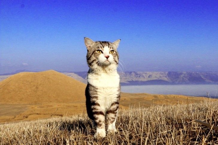 coolfunnnn's tweet image. que estara pasando mas alla… en todo este gigantesco mundo… que pasara? millones de situaciones y acontecimientos todos los días…