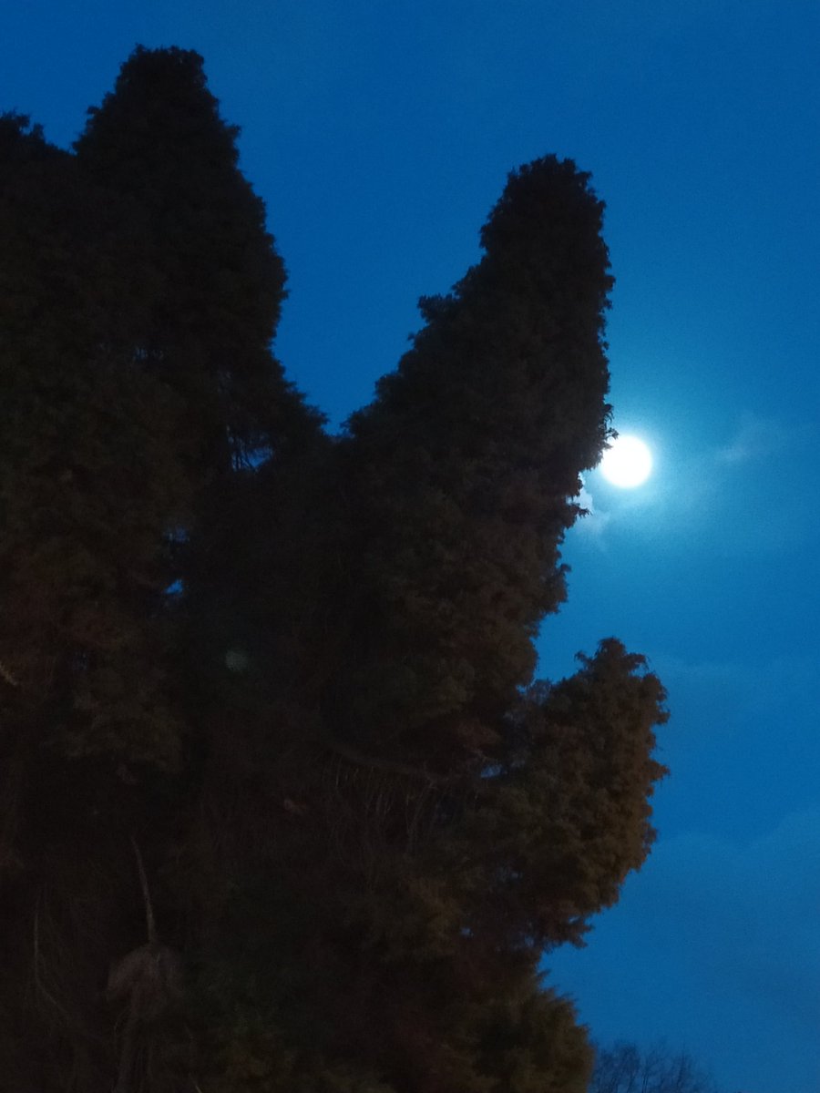 Ana González Somoza (@anagonsom) on Twitter photo 