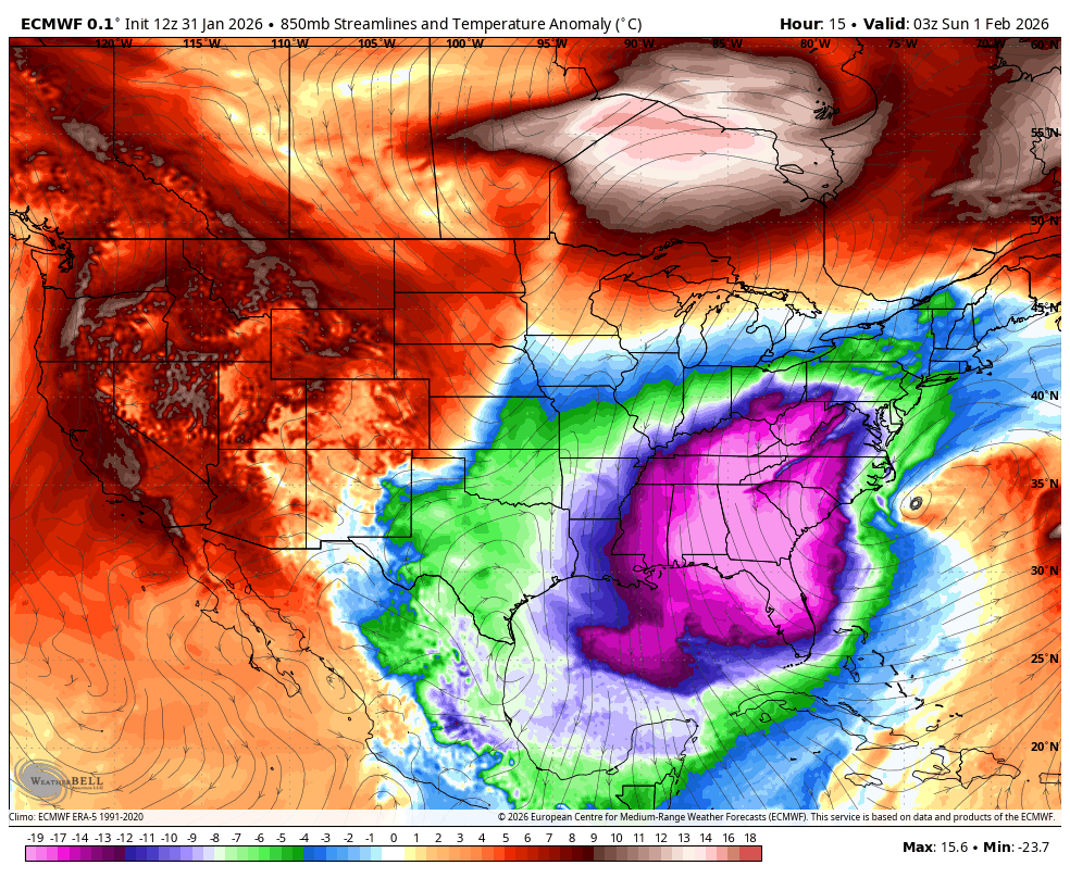 SinaStorm MX tweet media