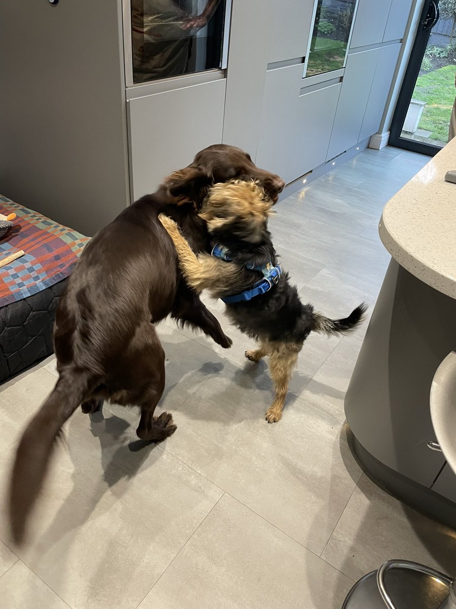 Fun afternoon with my pal Desi #BTPosse #Benedict <a href="/revdlouisjj/">Louis Johnson</a>