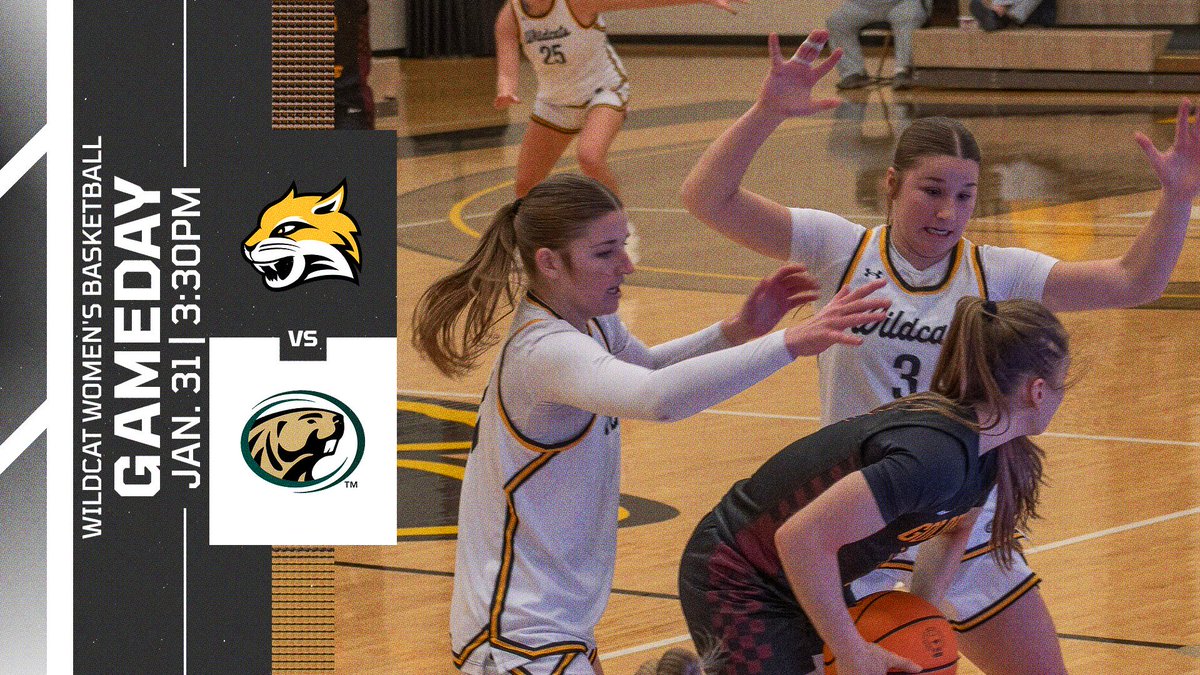 Wayne State WBB tweet media