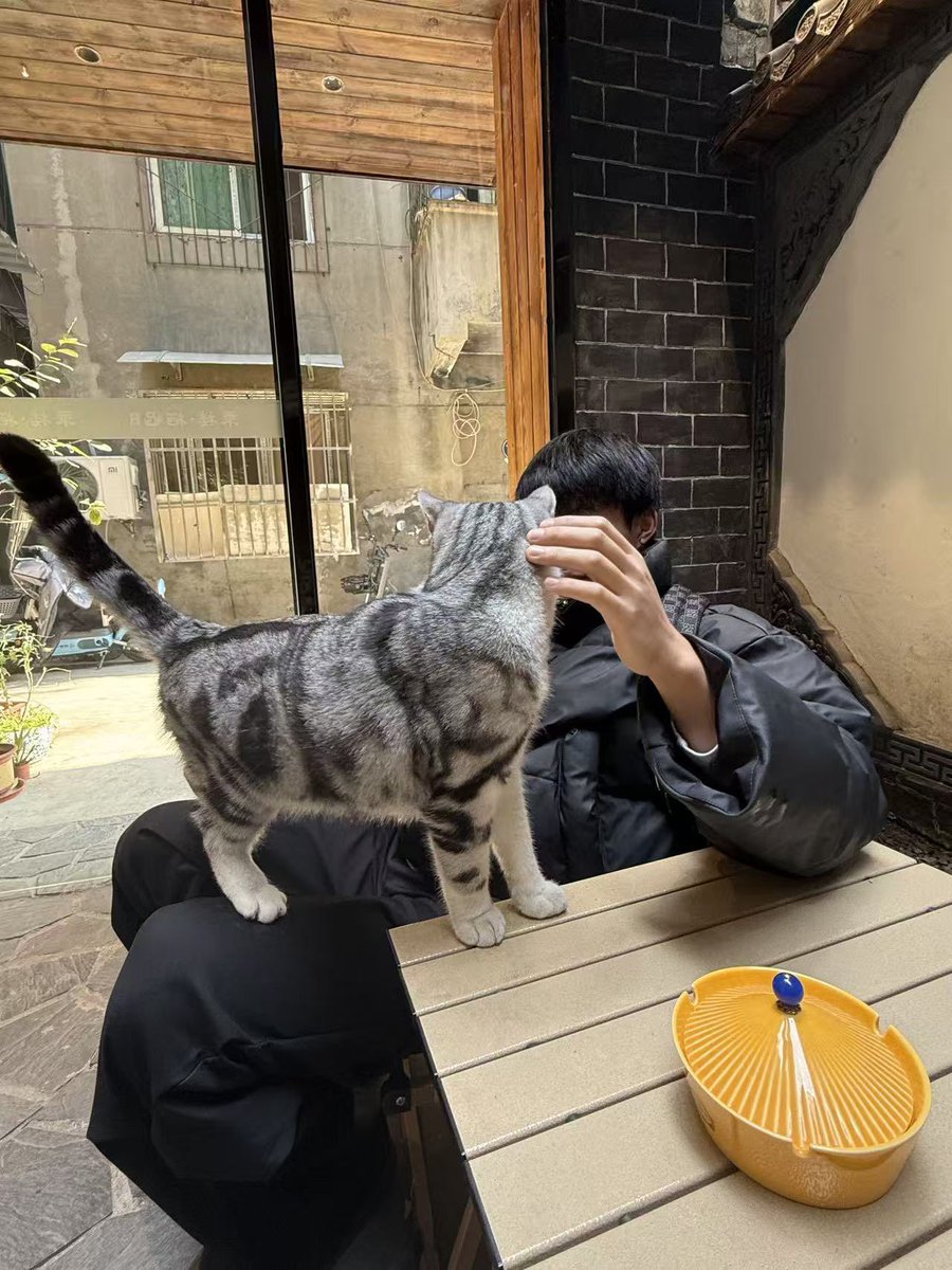 丘比特 tweet media