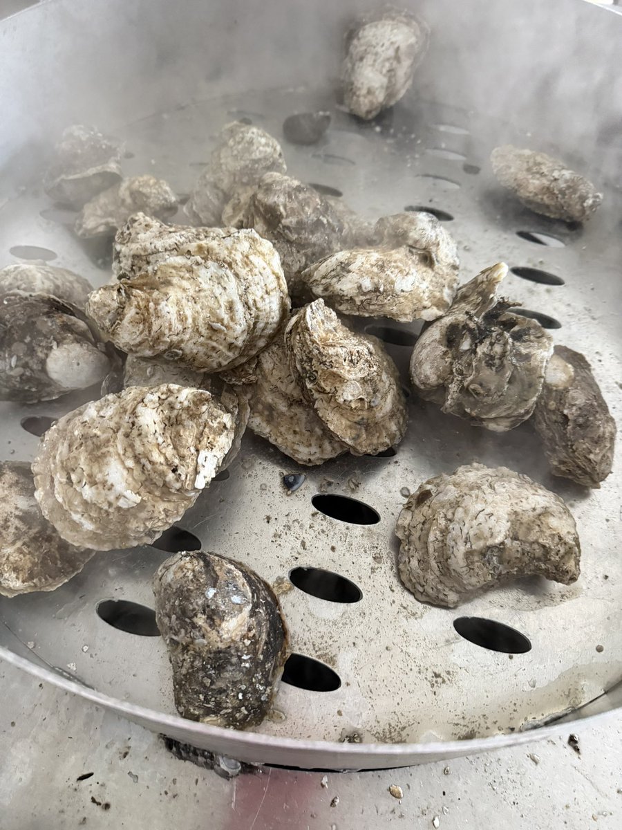 Cassie Clark tweet media