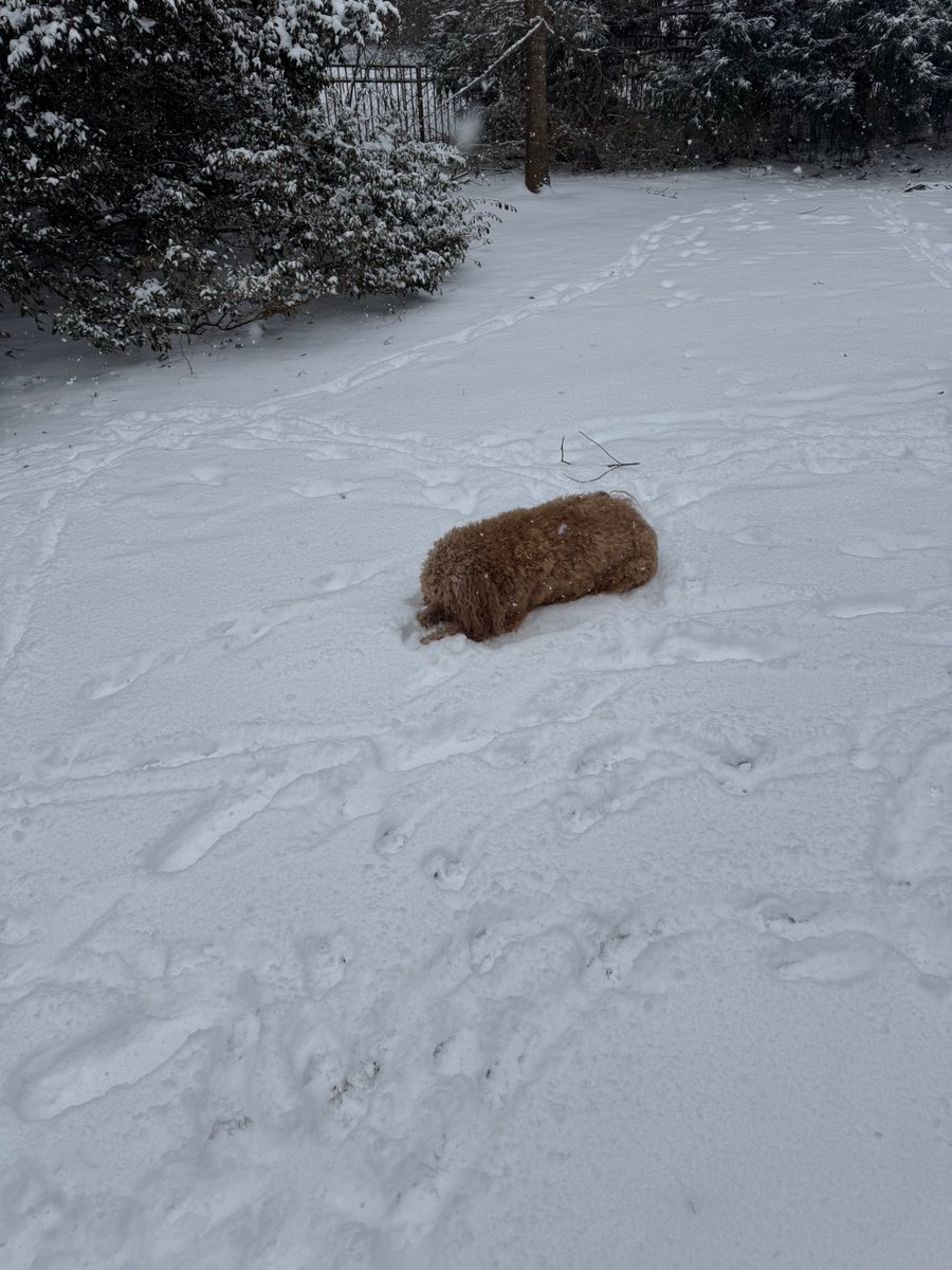 I don’t know what this is, but it is delicious!