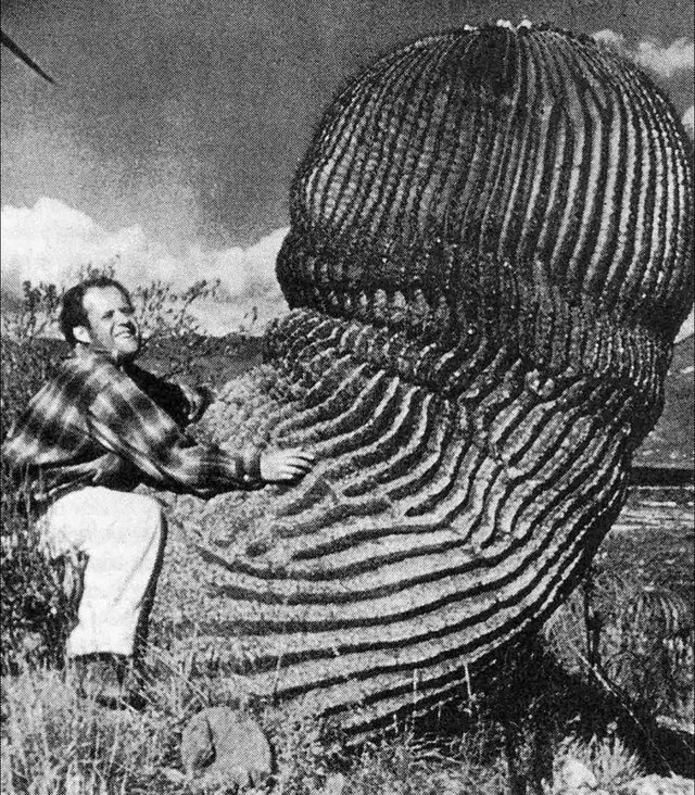 Historic Vids tweet media