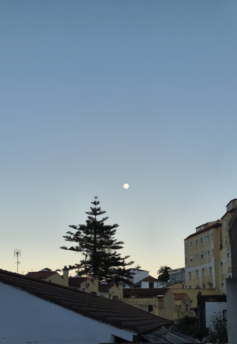  ☄️ Javi Marrero ☄️  (@marrero_javi) on Twitter photo 