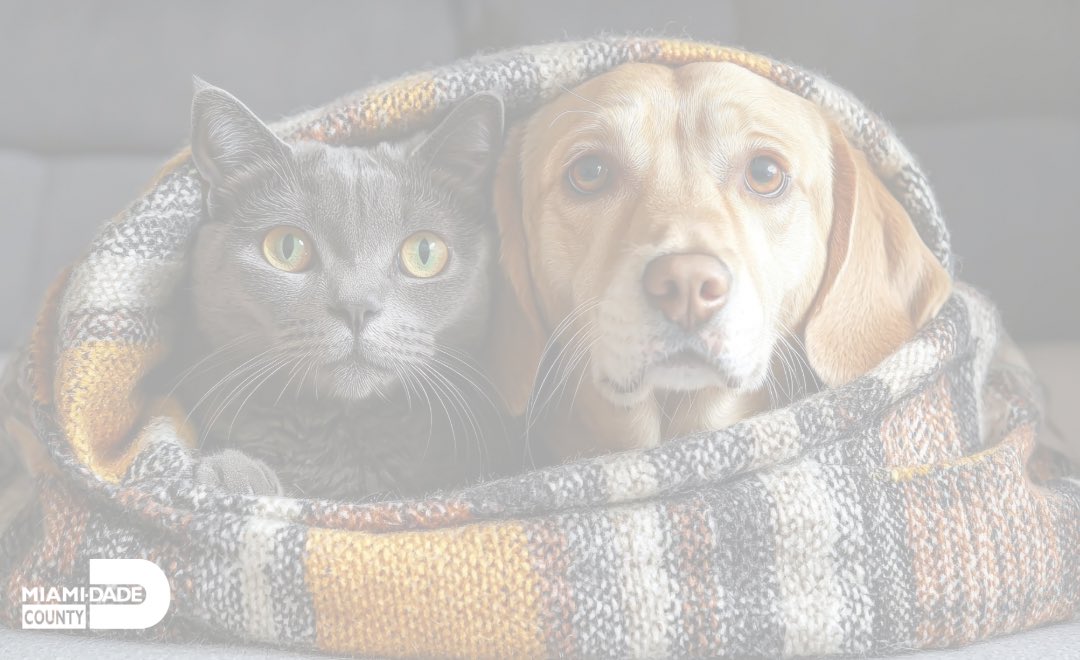 Miami-Dade County EM tweet media