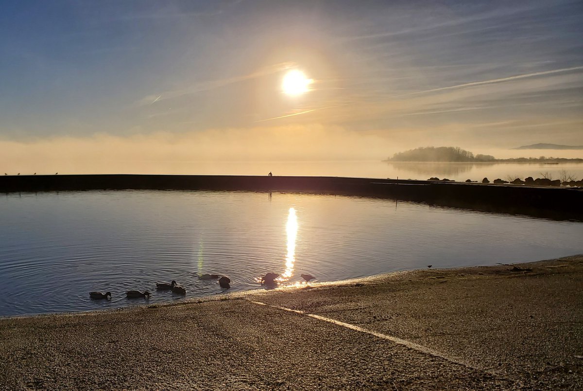 AN Other tweet media