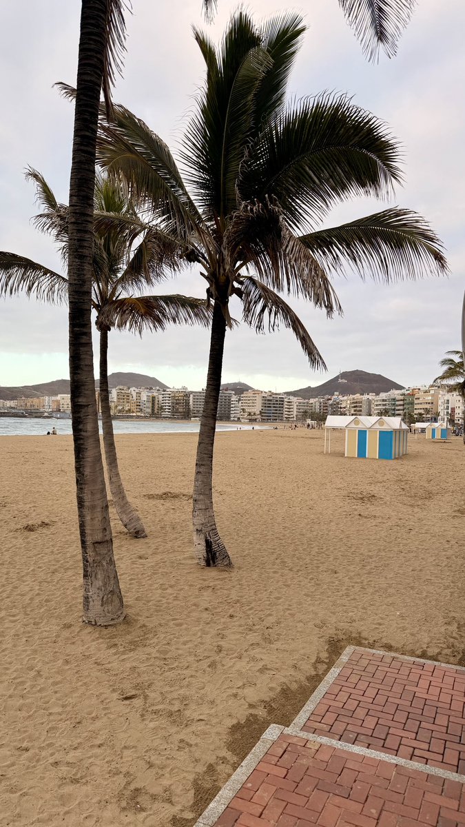 📍Concluye una semana intensa en la que aterrizamos en #Canarias para acompañar al equipo de <a href="/CopeCanarias/">COPE Canarias</a> en Gran Canaria y Tenerife

🫵🏼 En esta nueva fase de #Transformación de Ábside Media nuestros objetivos pasan por la #escucha, el #análisis y el #acompañamiento