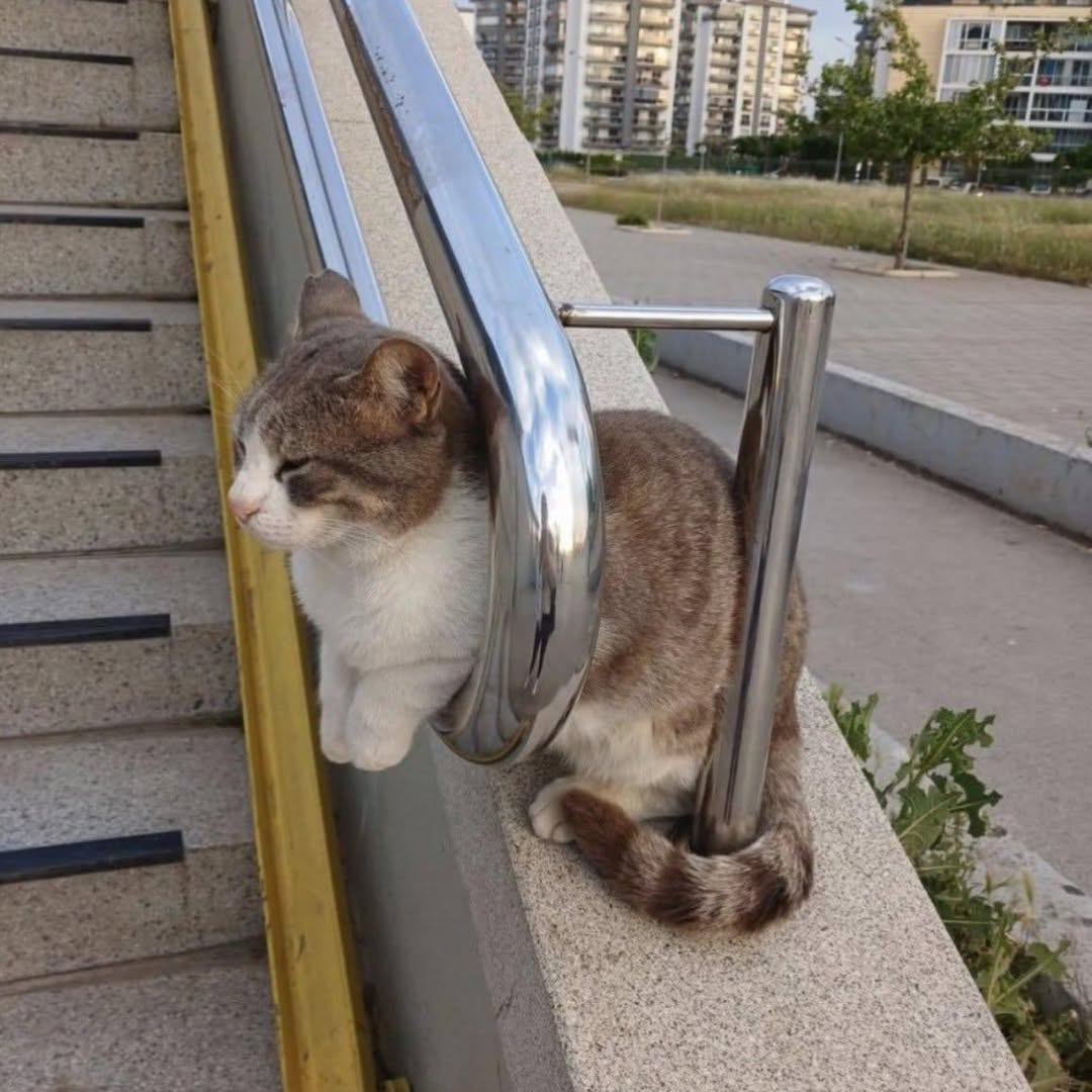 Sixrande's tweet image. 