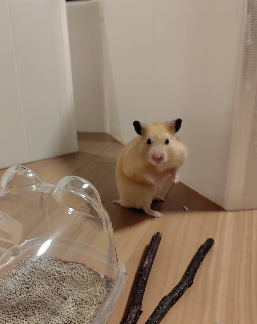 百獣の王 (@daitokaisaitama) on X