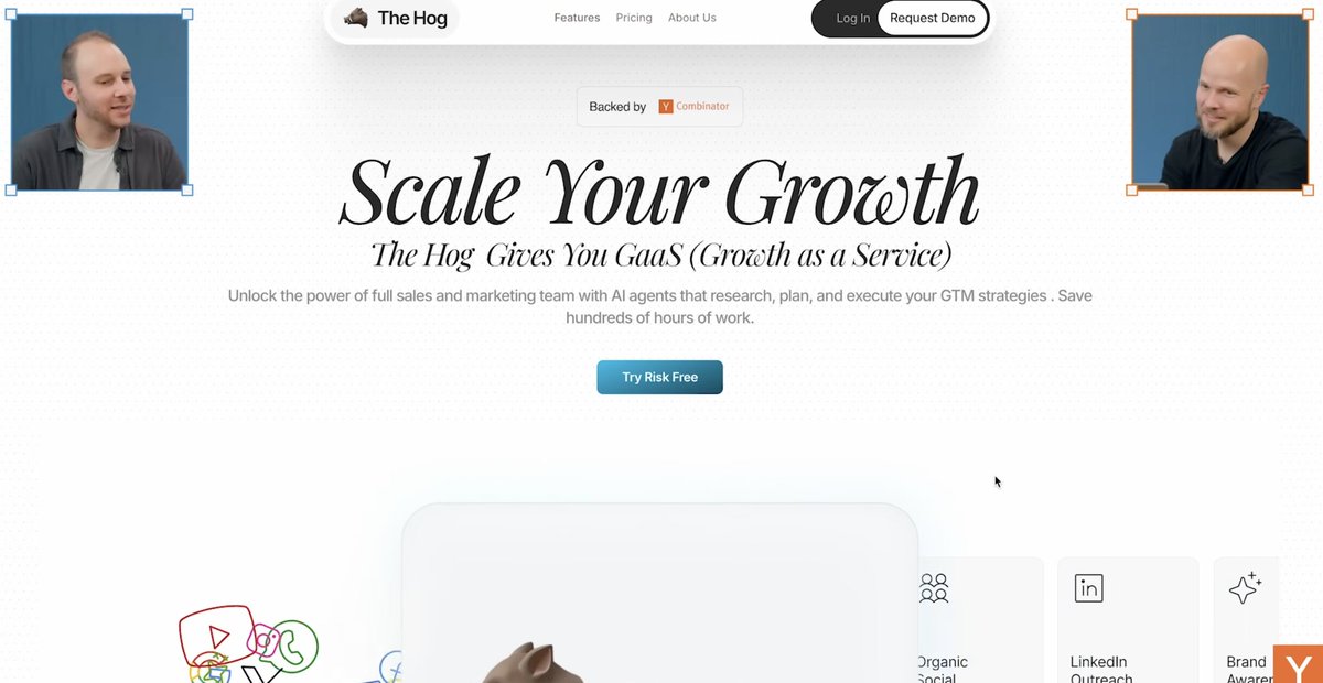 Paulo 🐗 tweet media