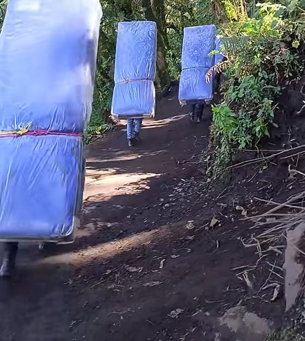 ImpactoNoticiGT's tweet image. Mientras tanto, en los volcanes ofrecen servicio de camas. 🌋🛏️ Se está perdiendo la esencia para subir al volcán y respetar a la naturaleza. 😔🌳 No existe regulación. 🚫📜