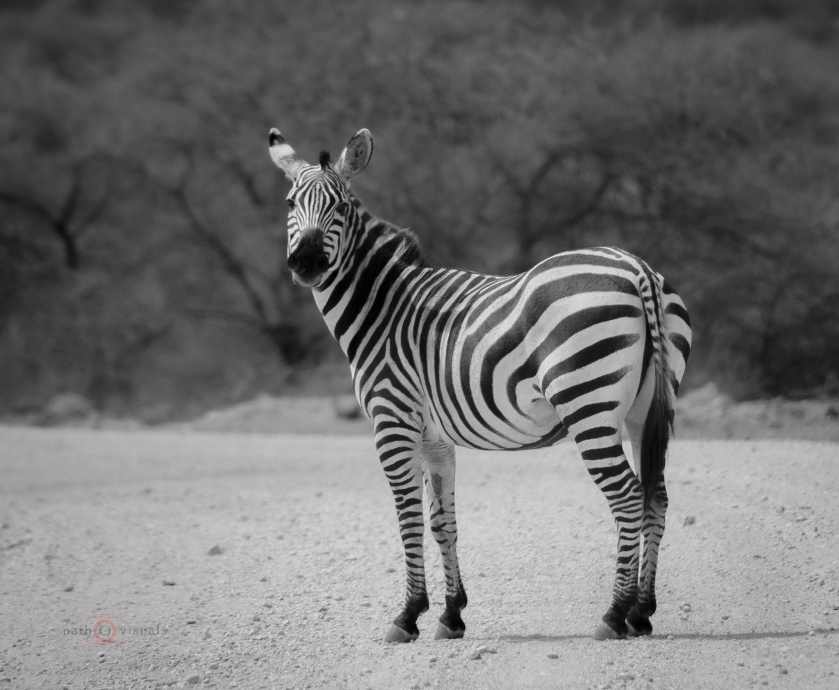 ✨MAY✨ tweet media