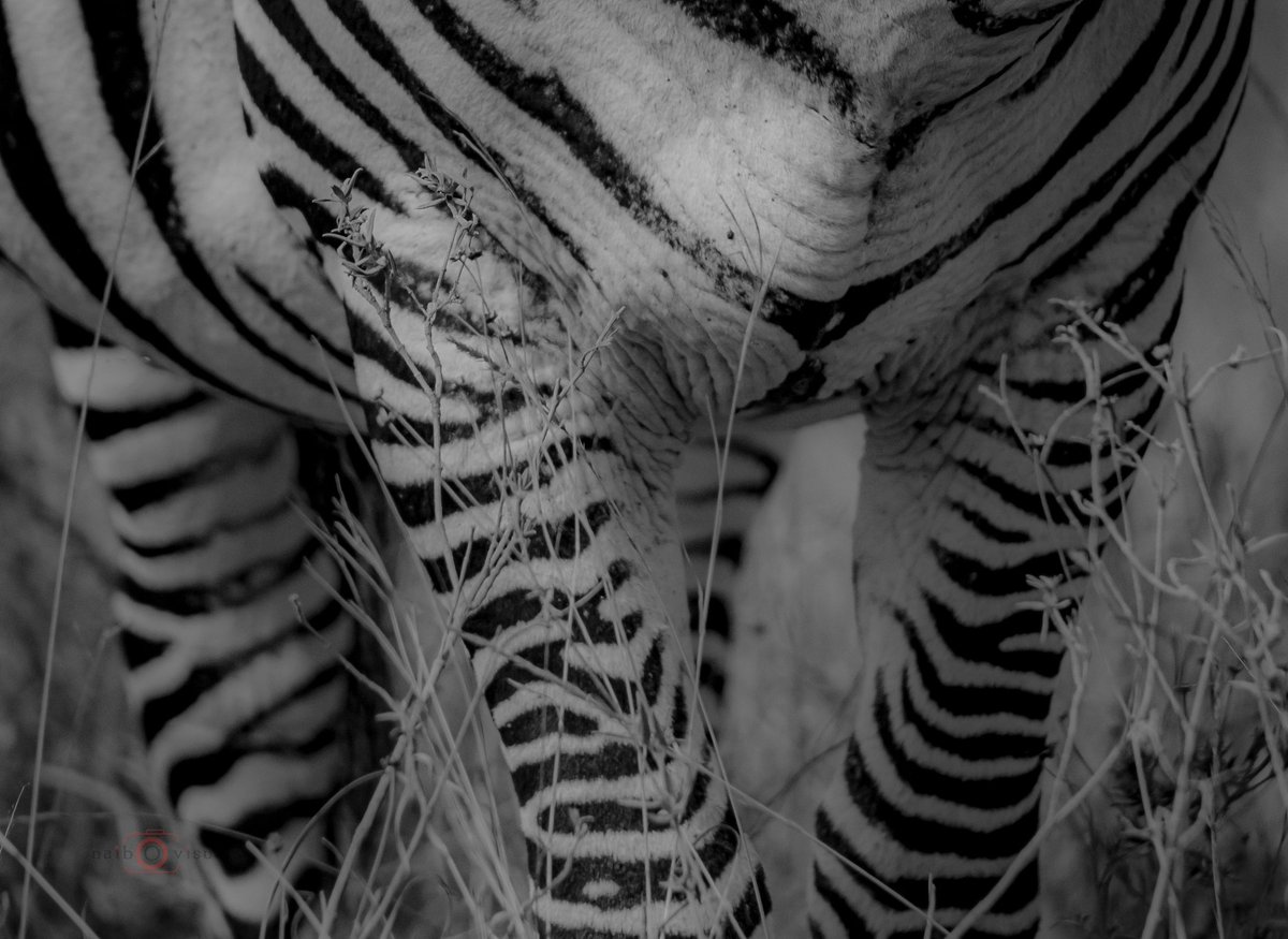 ✨MAY✨ tweet media