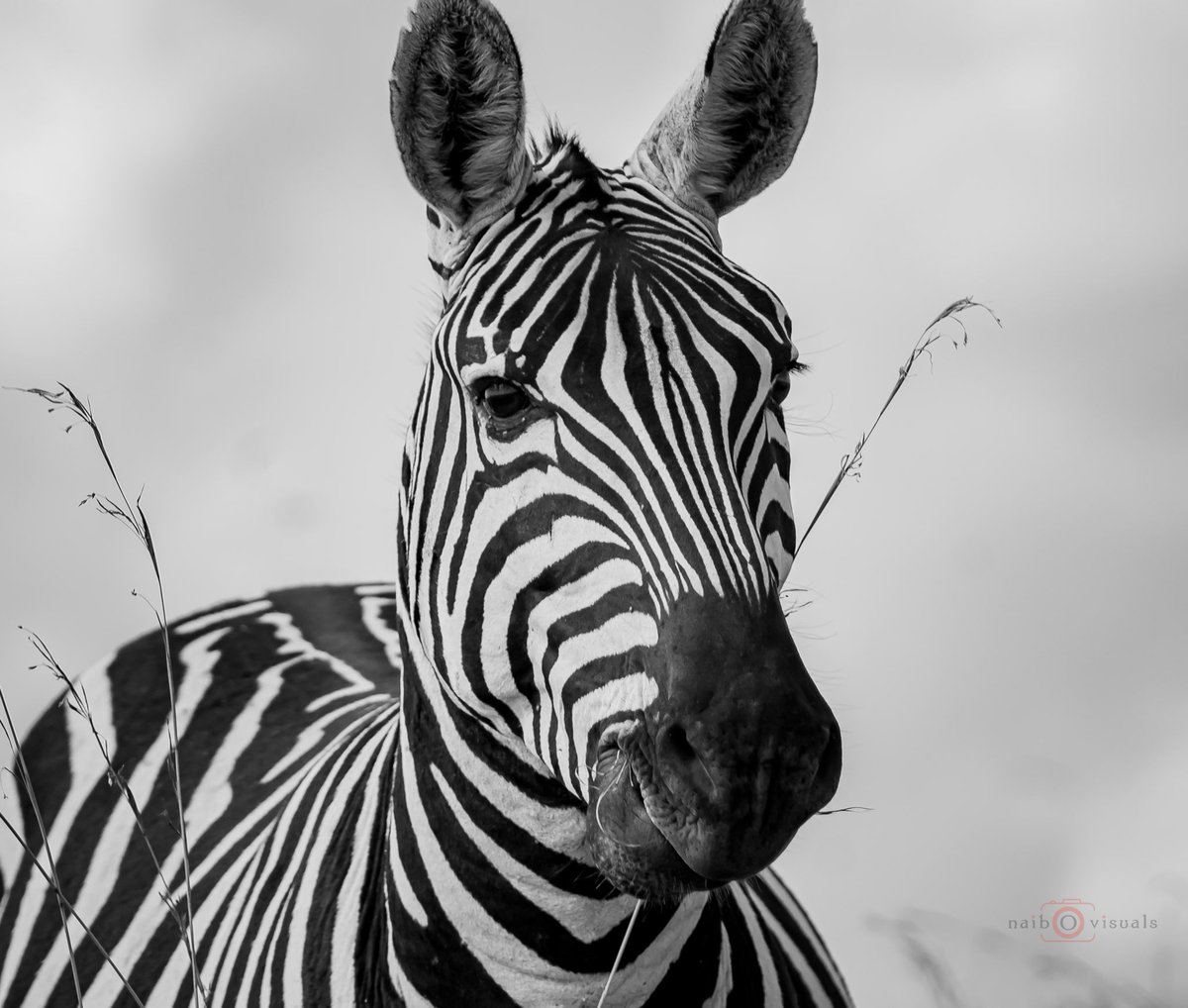 ✨MAY✨ tweet media