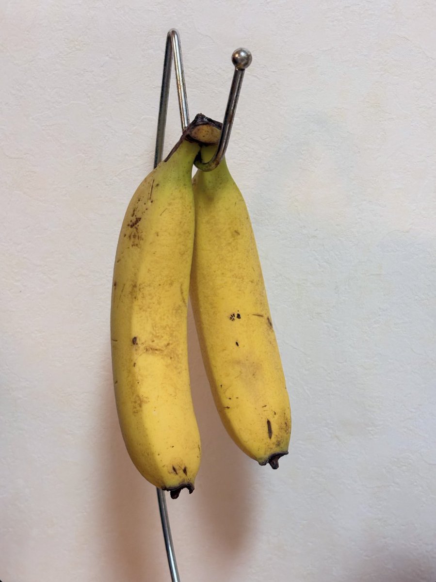 FMPiPi's tweet image. 10時〜
オッシーとらんちゃんのSunday Brunch👭　#サンブラ763 
テーマは「コンビ」　2人組、デュオ、、
#ふたりはプリキュア放送開始日
#プリキュアの日　
気になるコンビ、我ら名コンビ、仕事で息が合うコンビ…
📩 fmpipi.co.jp/message/reques…
📷朝コンビの物なんかないかなーて探したらあった🍌byら