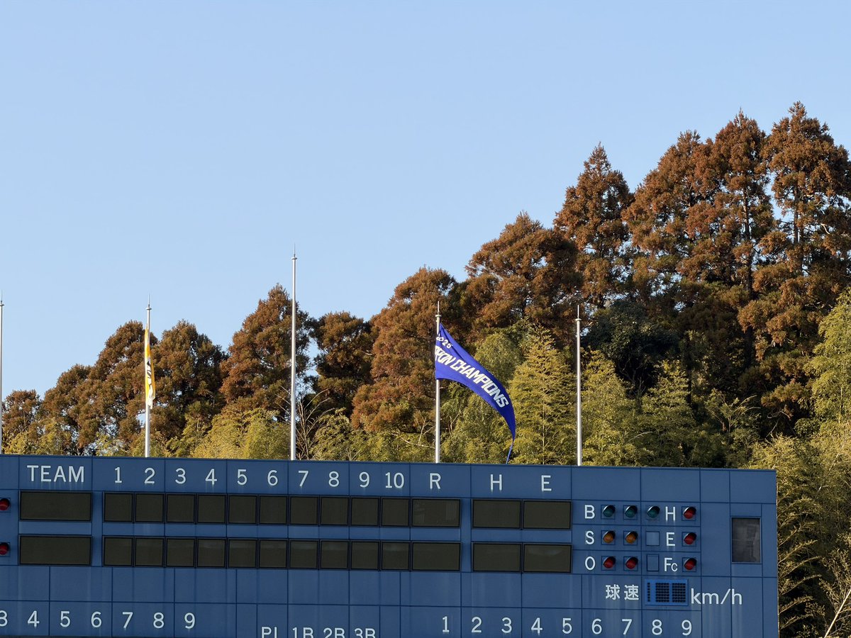 輝く空に感激の チャンピオンフラッグひるがえれ👊