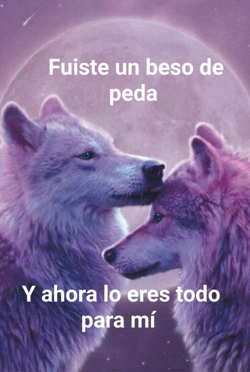 notemueres's tweet photo. Los amo @MoratBanda https://t.co/lKf2pUkqOn