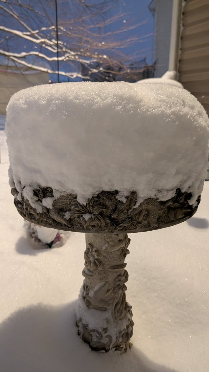 Bourbon, Beer & BBQ 🇺🇸 tweet media