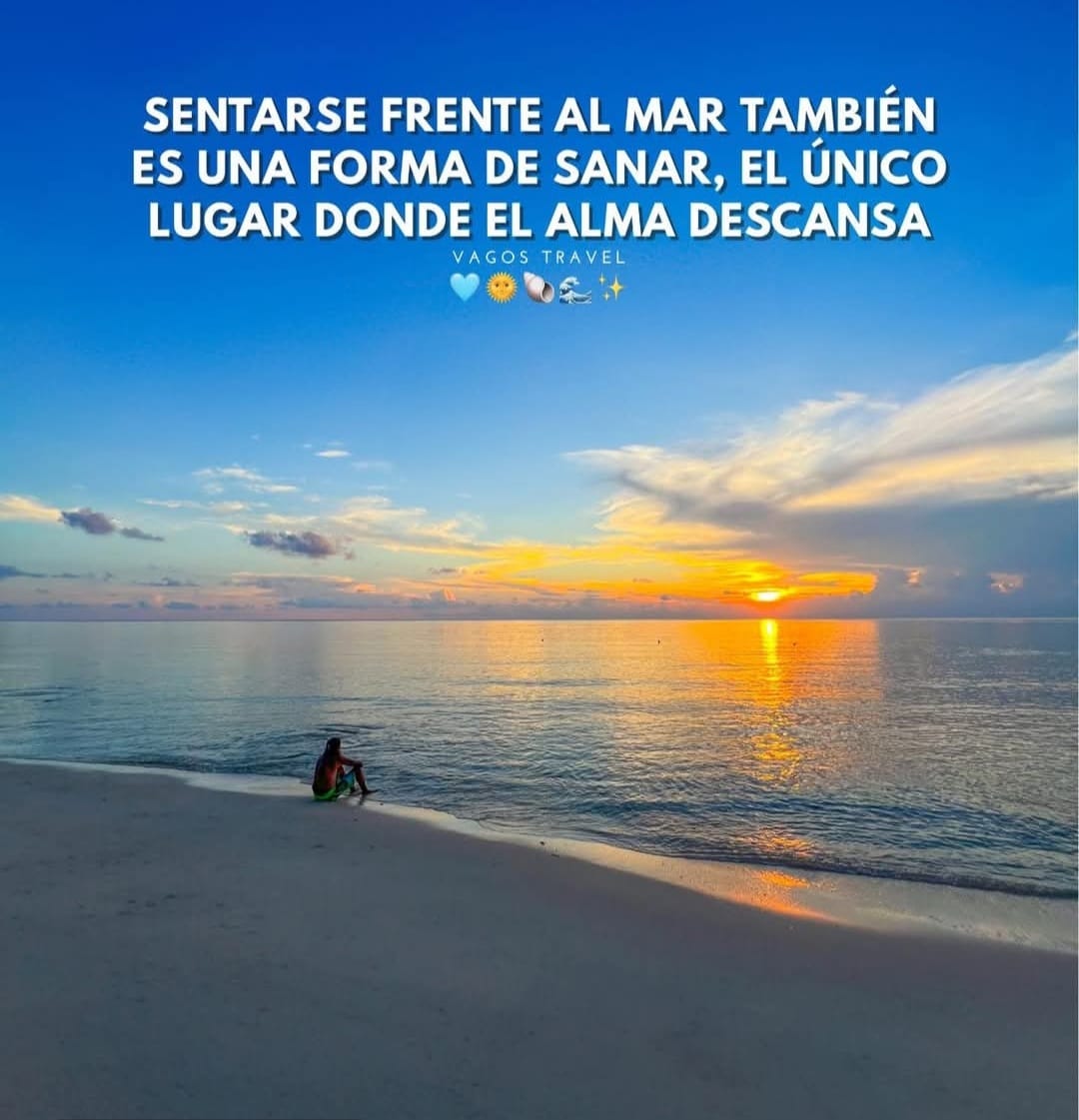 monica lopez f tweet media