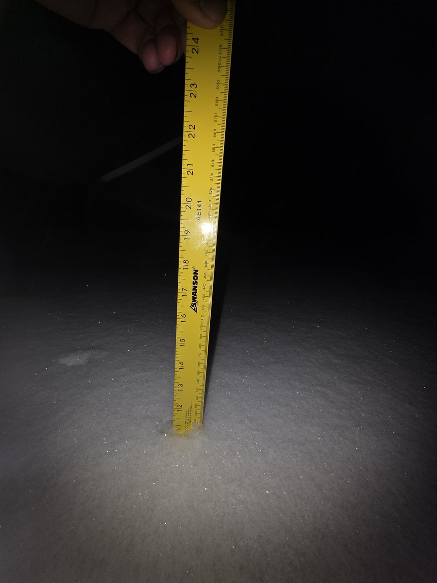 Michael Wheeler tweet media