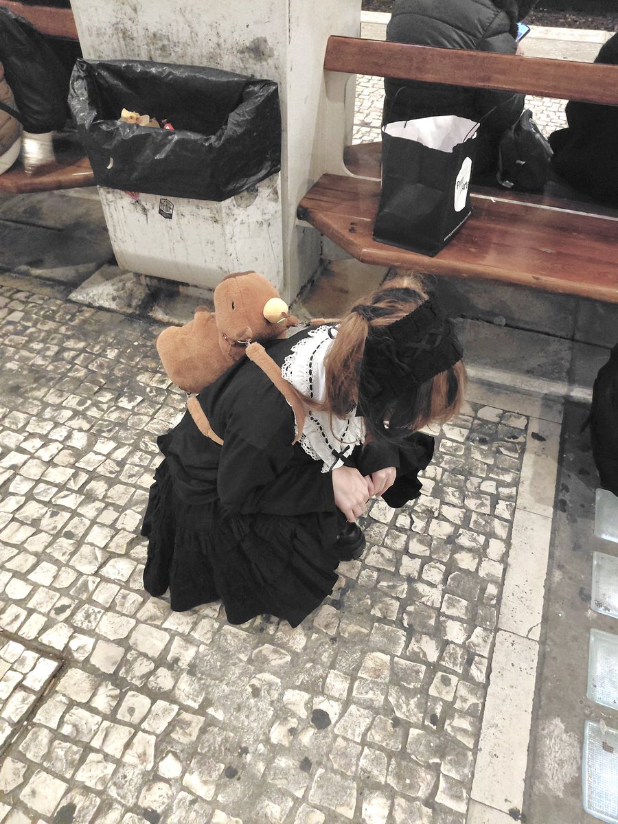 o que voceses fariam se este espécimen aparecesse à porta de vossa casa?