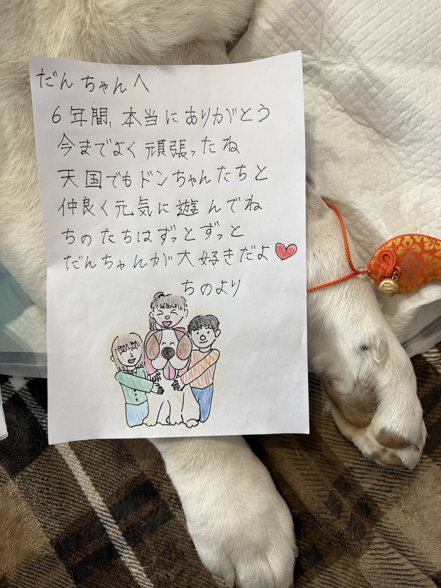 本日、母犬デイジーと一緒に ダンちゃんとの しばしのお別れをしてき