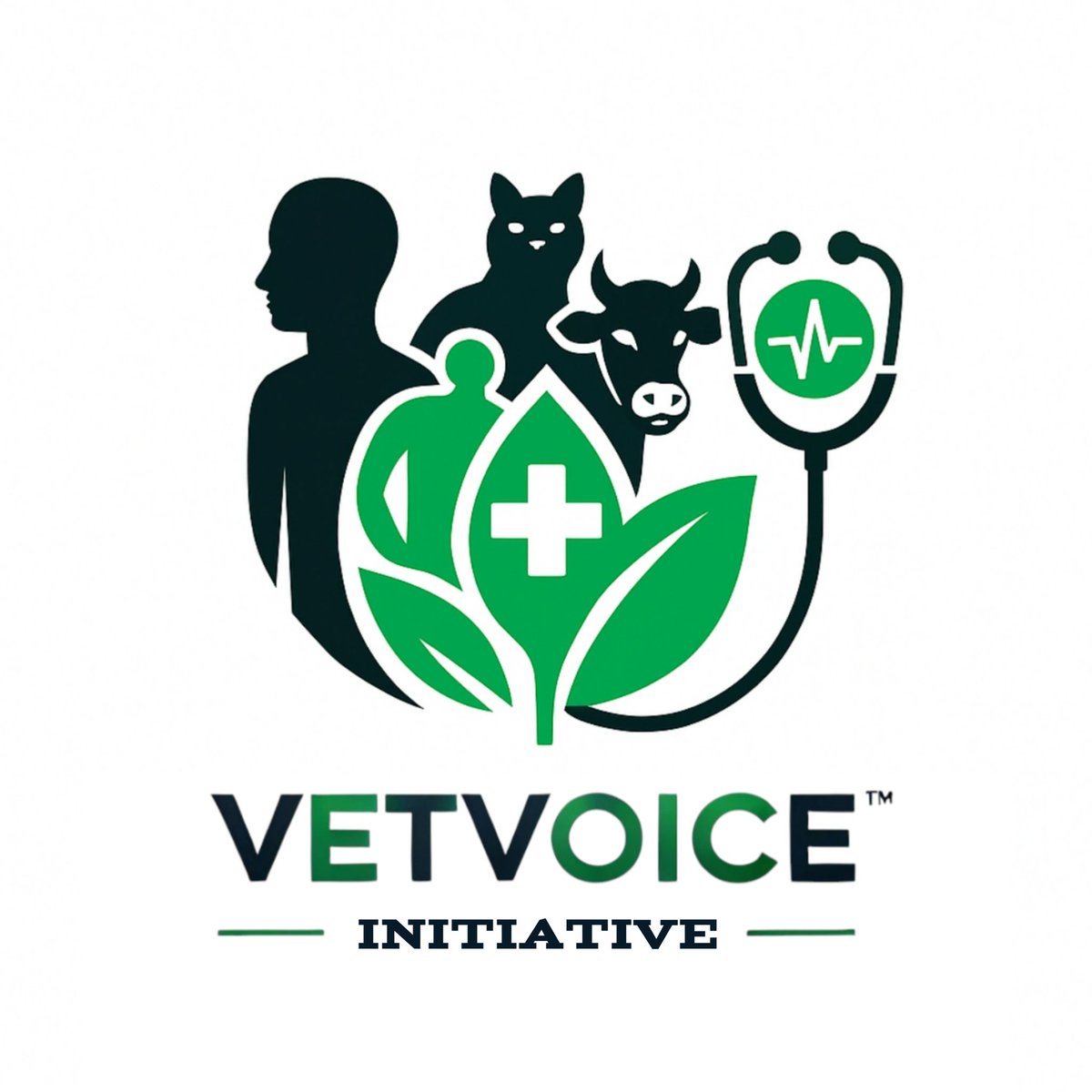 VetV_Initiative's tweet photo. VetVoice Initiative 🩵💚 https://t.co/HjV6uJv87N