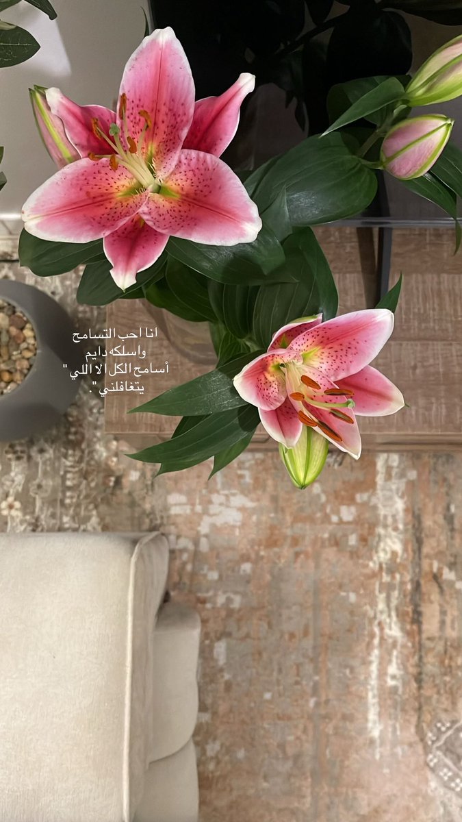 فبراير والكثير من التسامح
