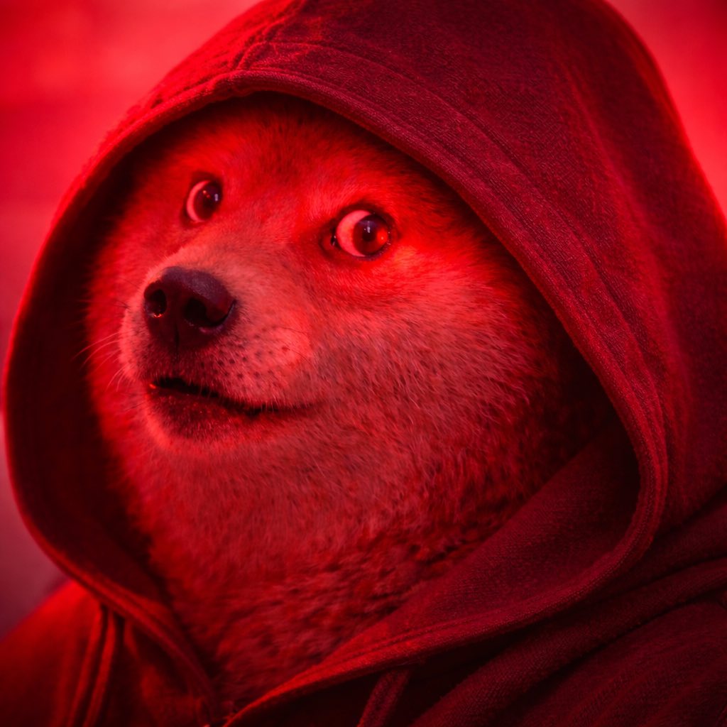 Rafflix's tweet image. $BEARINU revenge arc starting now, rugged by initial devs but being CTOd and with full support by a huge player @YokaiCapital time to run this back turbo