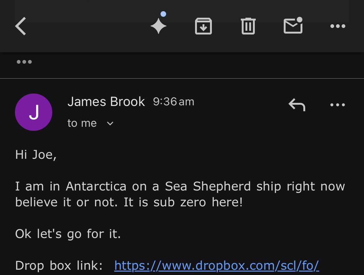 Joe Carra tweet media