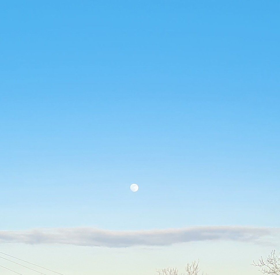 JadeHeasley's tweet photo. I love it when the moon is visible during the daylight hours . . .

#moon #writer #writerslife https://t.co/crcw9msOfS
