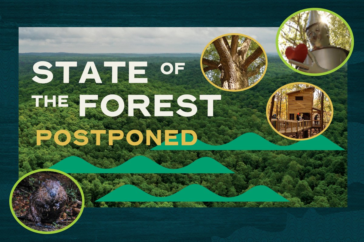 Bernheim Forest tweet media