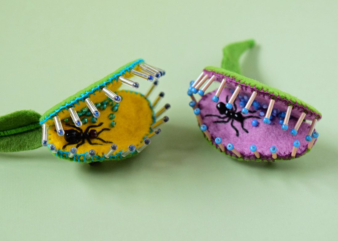 sheishine's tweet photo. Etsyショップに再びアリトリソウブローチを2個追加しましガブガブガブ。

2 Venus Anttrap brooches are now available in my Etsy shop! Chomp chomp chomp…

*U.S. orders ship once a week on Fridays due to limited access to a drop-off location.

https://t.co/uarg8LuTE0

#hinemizushima https://t.co/xInPQm7IBp