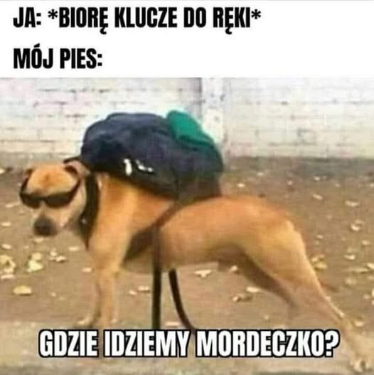 Bruno Jasieński tweet media