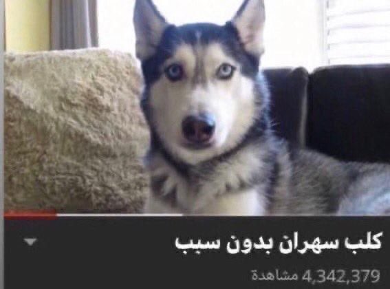 ੈ حَ tweet media