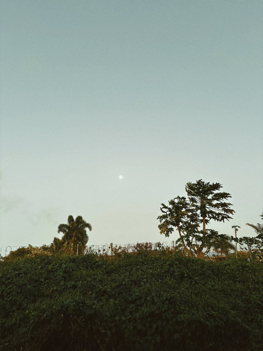 Luke Beling tweet media