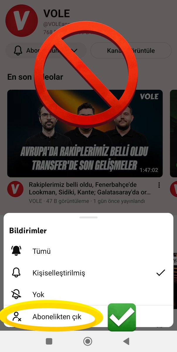 mjbranco75's tweet photo. Serdar Ali Çelikler sebebiyle Vole ve Neo Spor'u boykot ediyoru ve abonelikten çıkıyorum. 

Fenerbahçe düşmanlarına geçit yok! 

@VOLEapp
@neosportr
#ComeToFenerLookman https://t.co/AFcgnufMEo