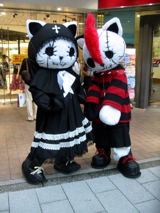 you (@salixfame) on Twitter photo 