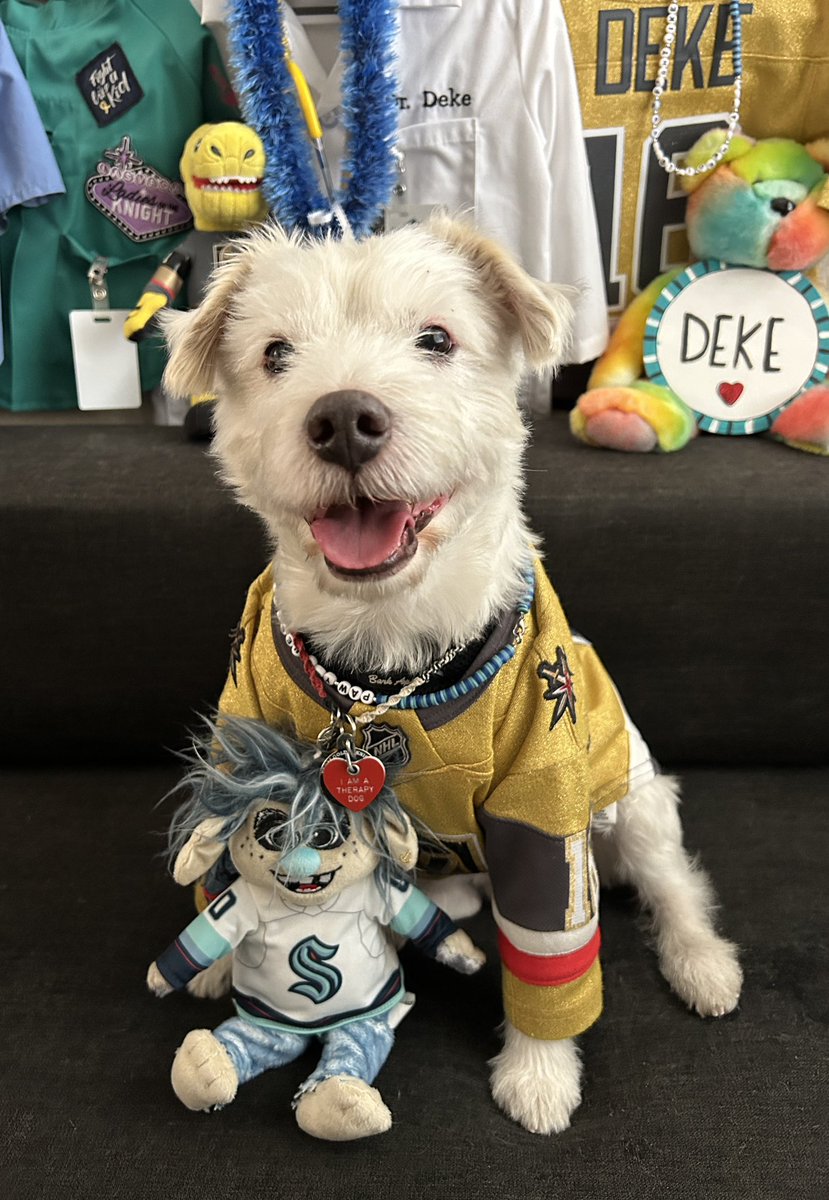 I’m ready for the hockey!
~ Deke🐾
#GoKnightsGo
#VegasBorn                                         
#SEAvsVGK                        
#GameFace