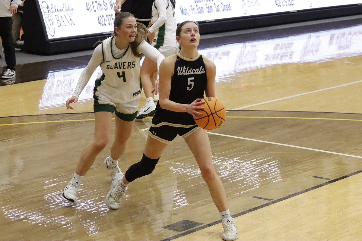 Wayne State Wildcats tweet media